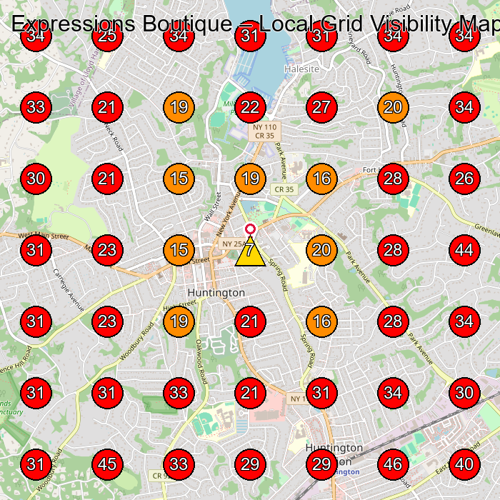Expressions Boutique GeoGrid visibility map for Clothing Store in Huntington